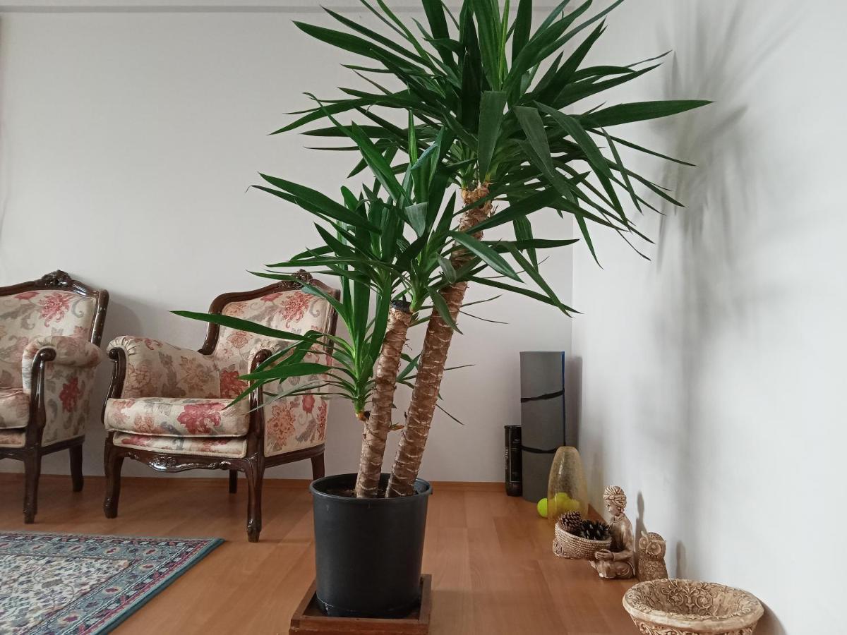 Single Room, Одноместная Комната В Доме, Chambre D'Une Personne, Habitacion Individual Istanbul Exterior photo
